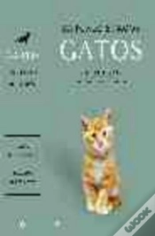 Capa do artigo Estuche Gatos