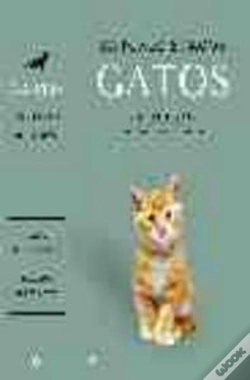 Capa do artigo Estuche Gatos