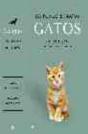 Estuche Gatos - Preview