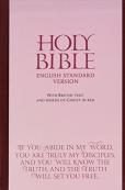 Esv Bonded Leather Bible