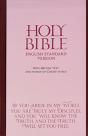 Esv Bonded Leather Bible - Preview