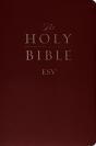 Esv Gift And Award Bible - Preview