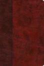 Esv Gospel Transformation Study Bible: - Preview