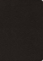 Esv Heirloom Study Bible - Preview