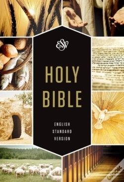 Capa do artigo Esv Holy Bible, Textbook Edition