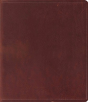 Esv Journaling Bible - Preview