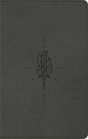 Esv Kid'S Bible, Thinline - Preview