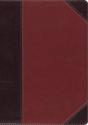 Esv Macarthur Study Bible, Large Print - Preview