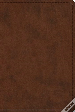 Capa do artigo Esv New Testament