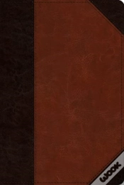 Capa do artigo Esv Reader