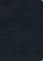 Esv Study Bible Trutone Navy - Preview