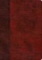 Esv Study Bible - Preview