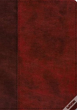 Capa do artigo Esv Study Bible