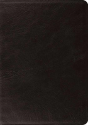 Esv Systematic Theology Study Bible - Preview
