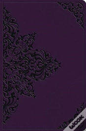 Capa do artigo Esv Value Compact Bible Trutone