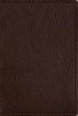 Esv Women'S Study Bible - Preview