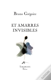 Capa do artigo Et Amarres Invisibles
