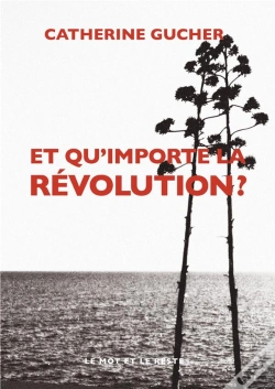 Capa do artigo Et Qu'Importe La Révolution ?