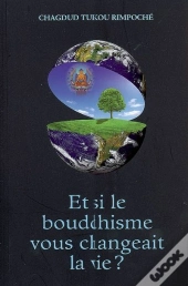 Et Si Le Bouddhisme Vous Changeait La Vie ?