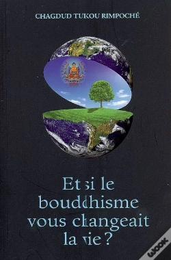 Capa do artigo Et Si Le Bouddhisme Vous Changeait La Vie ?