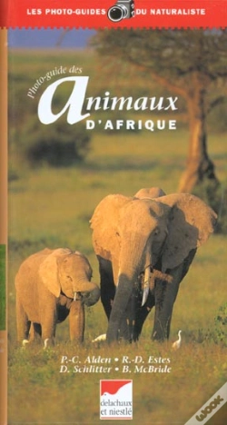 Capa do artigo Et Si On Allait Cueillir Un Petit Lion Dans La Savane ?