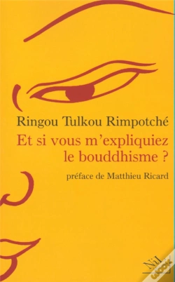 Capa do artigo Et Si Vous M'Expliquiez Le Bouddhisme