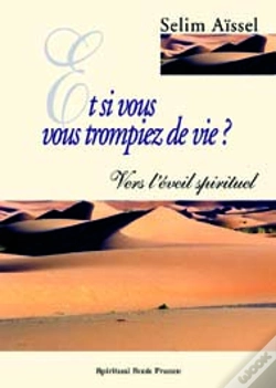 Capa do artigo Et Si Vous Vous Trompiez De Vie Vers L'Eveil Spirituel