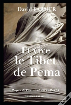 Capa do artigo Et Vive Le Tibet De Pema