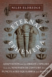 Capa do artigo Eternal Ephemera