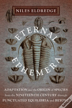 Capa do artigo Eternal Ephemera