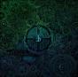 Eternal Forward Motion - Vinil - Preview