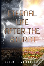 Capa do artigo Eternal Life After The Storm