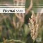 Eternal Satie - CD - Preview