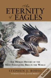 Capa do artigo Eternity Of Eagles