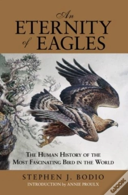 Capa do artigo Eternity Of Eagles