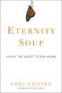 Eternity Soup - Preview