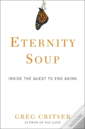Capa do artigo Eternity Soup