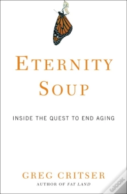 Capa do artigo Eternity Soup