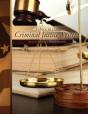 Ethics In The Criminal Justice System - Preview