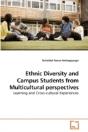 Ethnic Diversity And Campus Students Fro - Preview