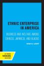 Ethnic Enterprise In America - Preview