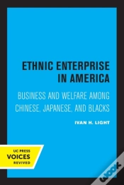 Capa do artigo Ethnic Enterprise In America