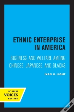 Capa do artigo Ethnic Enterprise In America