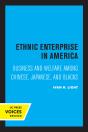 Ethnic Enterprise In America - Preview