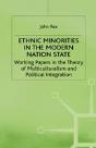 Ethnic Minorities In The Modern Nation State - Preview