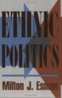 Ethnic Politics - Preview