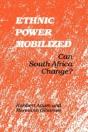 Ethnic Power Mobilized - Preview