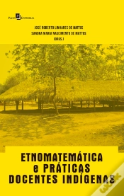 Capa do artigo Etnomatemática E Práticas Docentes Indígenas