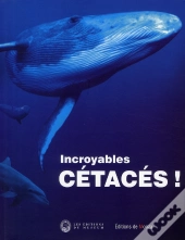 Étonnants Cétacés