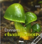 Étonnants Champignons